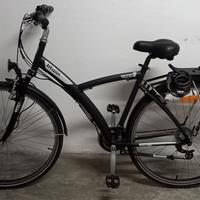 bici polivalente