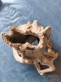 ROCCIA IN RESINA X ACQUARIO