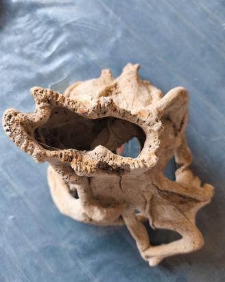 ROCCIA IN RESINA X ACQUARIO