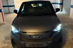 Minicar liger js50