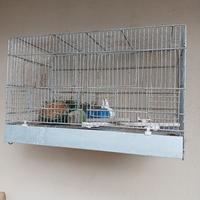 Gabbia da cova da 55cm cassetto in plastica