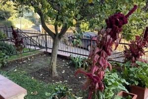 Appartamento di 160 m² con 5 locali e box auto a C