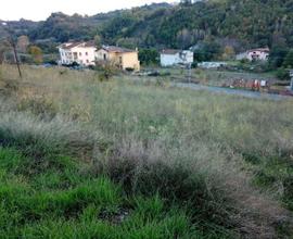 Terreno Edificabile - San Pietro in Guarano -...