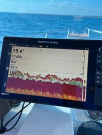 ECO/GPS HUMMINBIRD