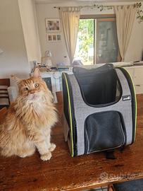 Zaino estensibile per animali pecute 