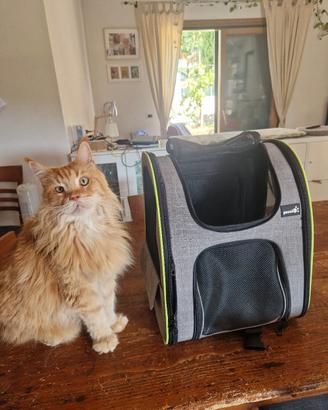Zaino estensibile per animali pecute 
