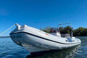 Sacs 490 + johnson 40/50 + carrello 750 kg