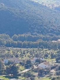 appartamenti in villa 