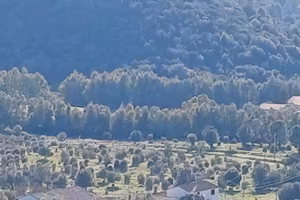 appartamenti in villa 