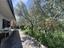 Immagine 15