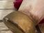 Immagine 6