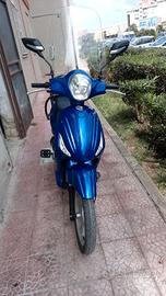 bicicletta elettrica 