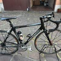Bici da corsa Colnago in carbonio - campagnolo