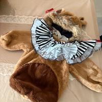 Vestito sartoriale carnevale