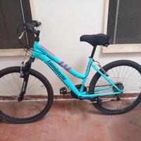 Bicicletta da donna
