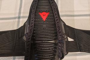 Paraschiena Dainese 