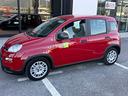 fiat-panda-new-1-0-70cv-hybrid-panda-vettura-
