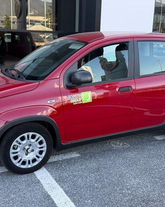 FIAT Panda NEW 1.0 70cv Hybrid PANDA vettura ...