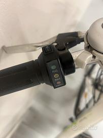 Bicicletta elettrica