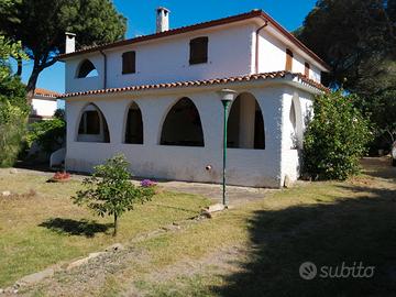 Last minute dal 24 Agosto in poi