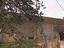 Immagine 11