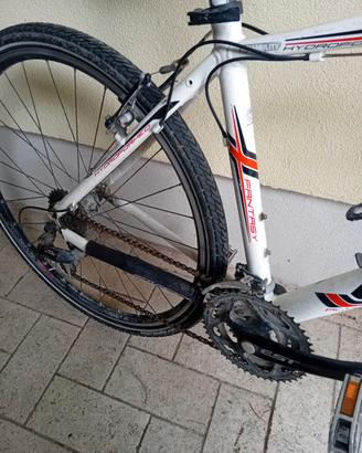 Bici mtb