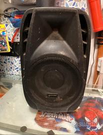 Cassa amplificata Gemini