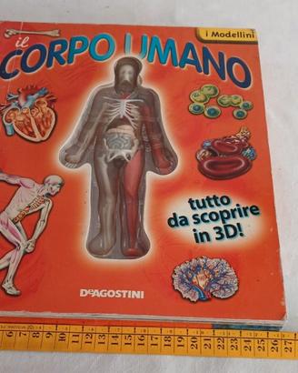 Il Corpo Umano De Agostini - Libro con Modellino