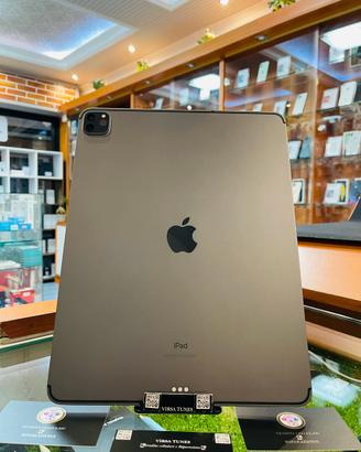 Ipad Pro 11 4gene M2 512 GB WI-FI usato