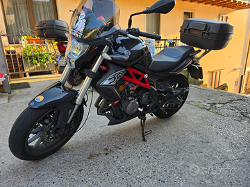 Benelli Bn 302 2017