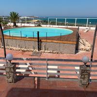 Ristorante - bar - pizzeria gestione estiva