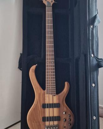 basso Ibanez