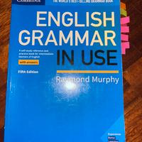 ENGLISH GRAMMAR IN USE, Raymond Murphy,