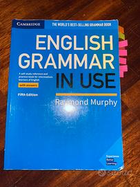 ENGLISH GRAMMAR IN USE, Raymond Murphy,