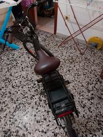 Bicicletta elettrica 