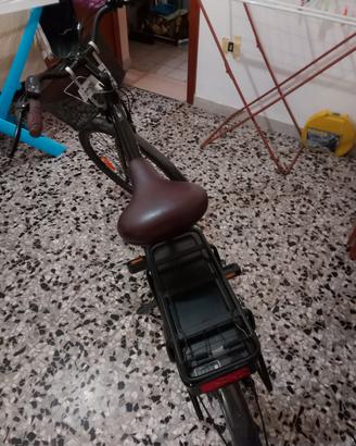 Bicicletta elettrica 