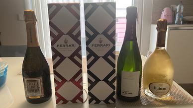 Lotto Bottiglie Champagne e Vino