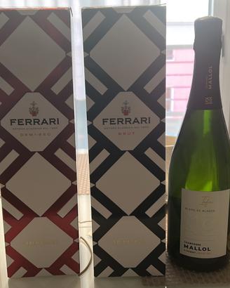 Lotto Bottiglie Champagne e Vino