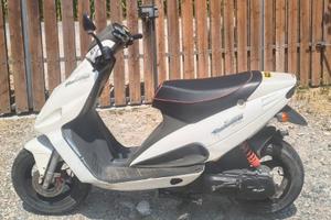 Scooter 50 Phantom 12
