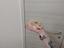 Immagine 6