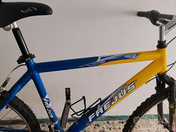 due biciclette 