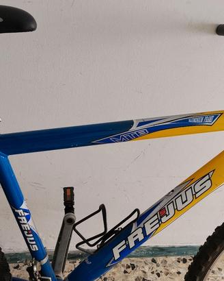due biciclette 