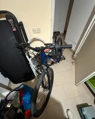 bicicletta elettrica