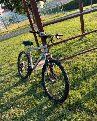 Bicicletta