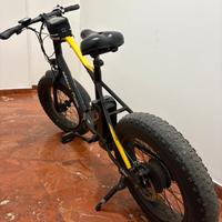 Bicicletta elettrica