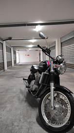 Triumph Thunderbird 900 Custom 1996