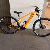 Bicicletta mountain bike elettrica