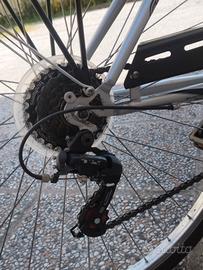 Bici da donna 