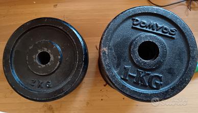 Pesi ghisa palestra Domyos 20 kg 2 kg 1 kg