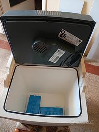 frigorifero elettrico portatile 